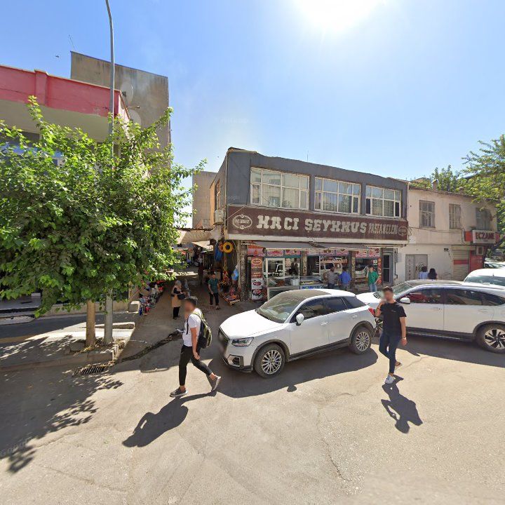 Fotoğraf 3