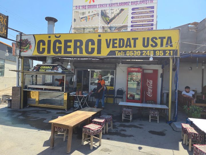 Vedat Usta