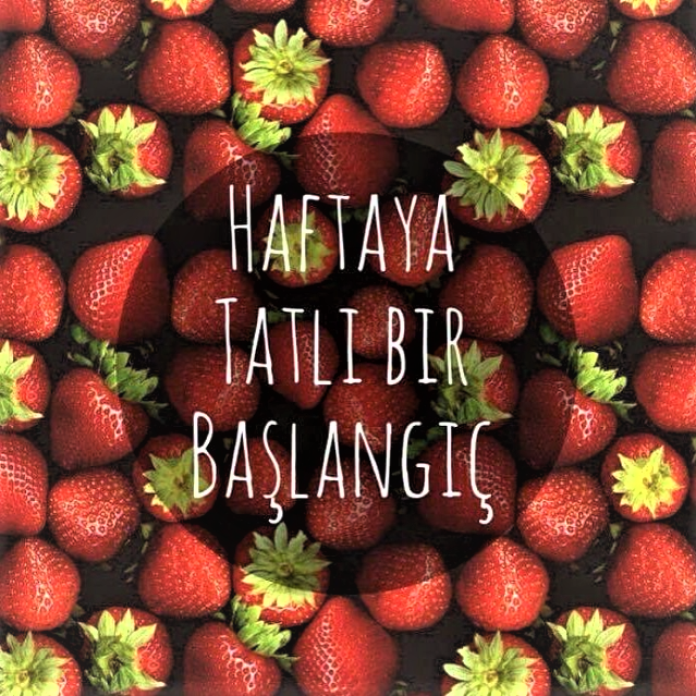 Fotoğraf 17