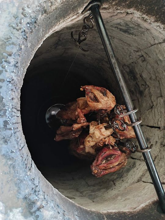 Fotoğraf 13