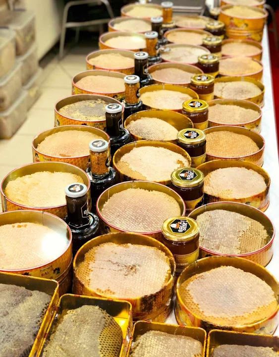 Fotoğraf 12