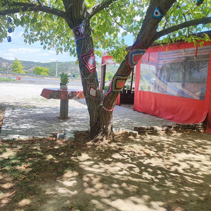 Yorum fotoğrafı 3