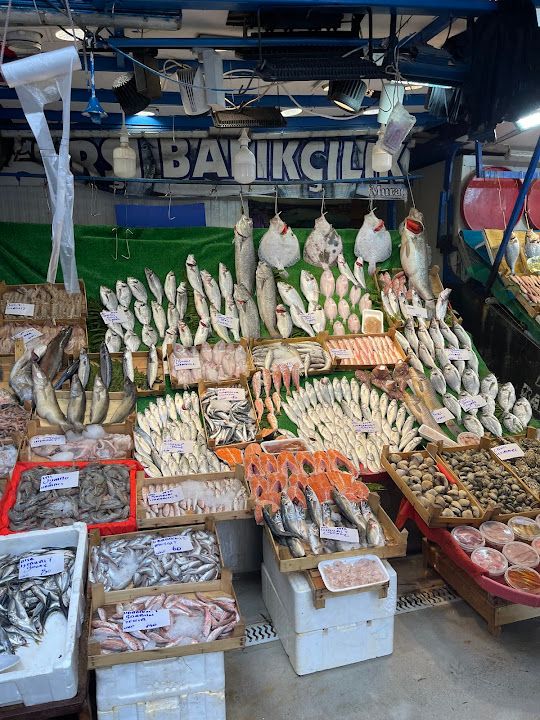 Fotoğraf 17