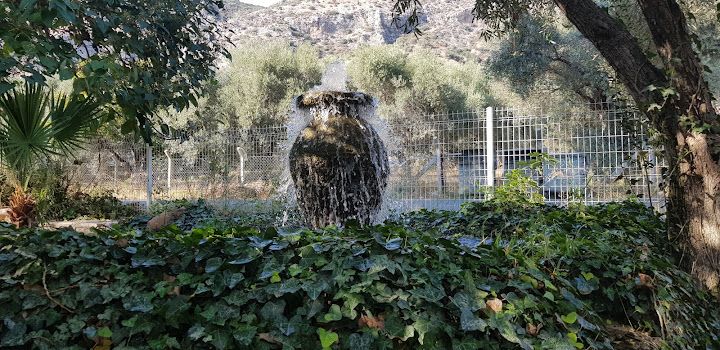 Fotoğraf 17