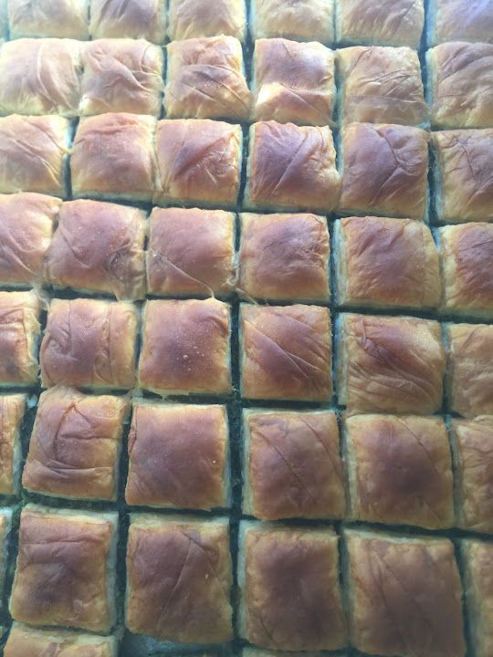 Fotoğraf 28