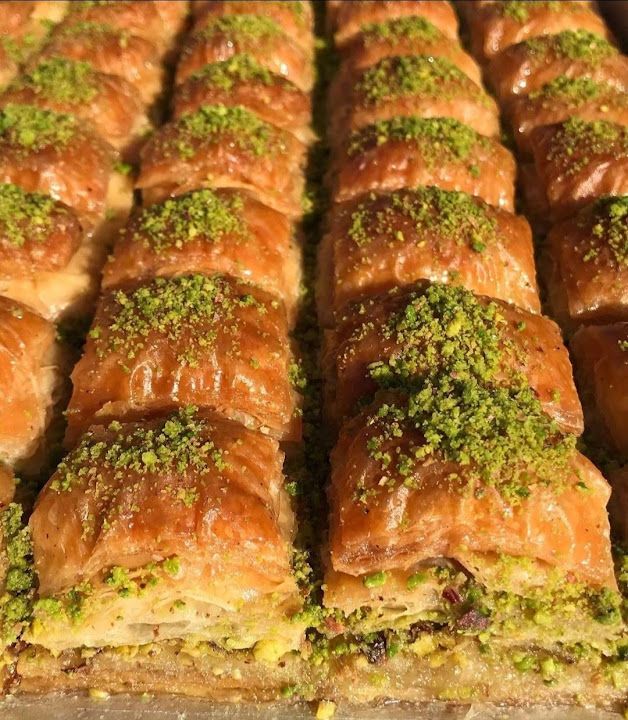 Fotoğraf 31