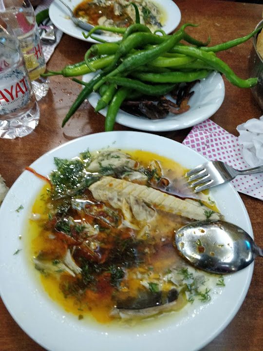 Fotoğraf 37