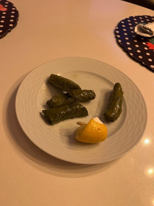 Fotoğraf 14