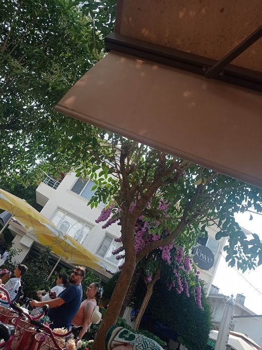 Fotoğraf 43