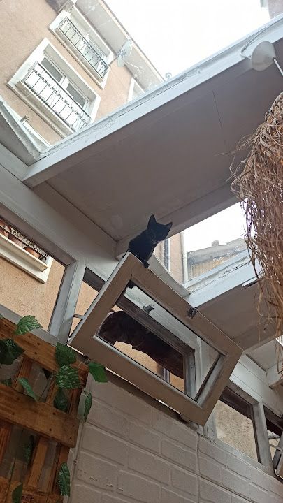 Yorum fotoğrafı 2