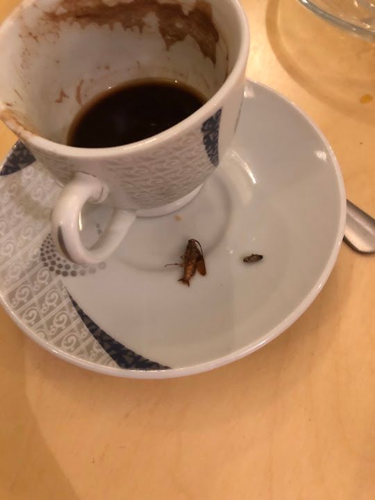 Fotoğraf 19