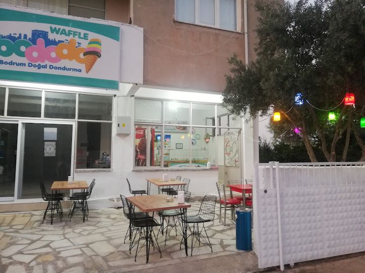 Fotoğraf 15