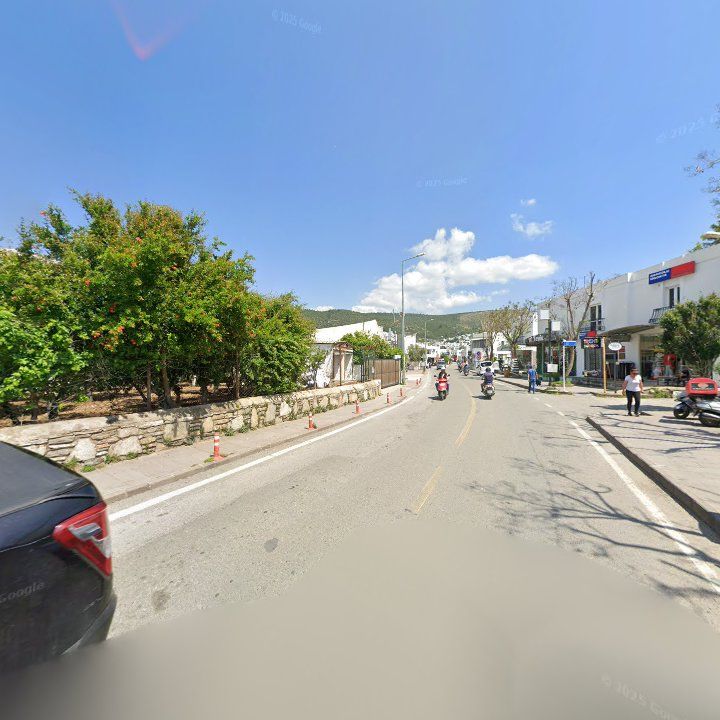 Fotoğraf 13