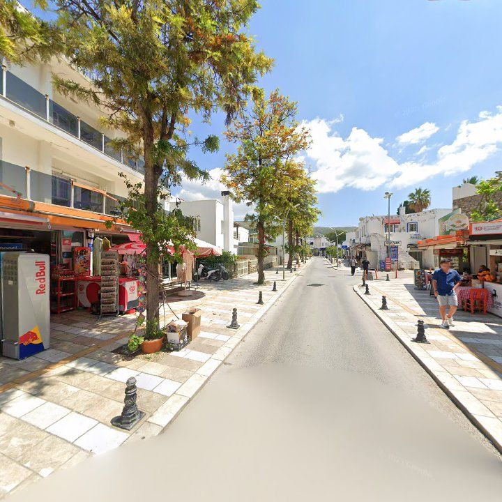 Fotoğraf 10