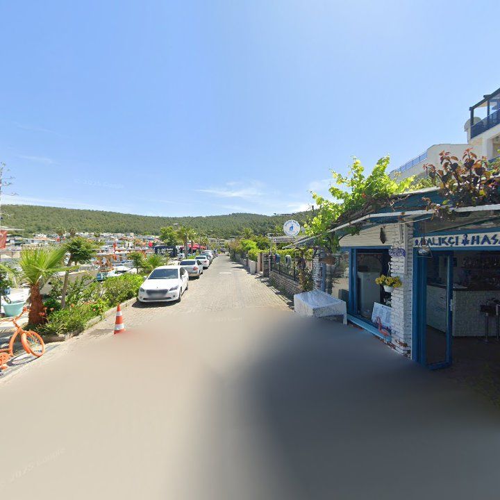 Fotoğraf 8