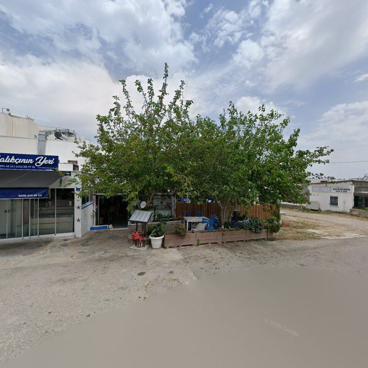 Fotoğraf 7