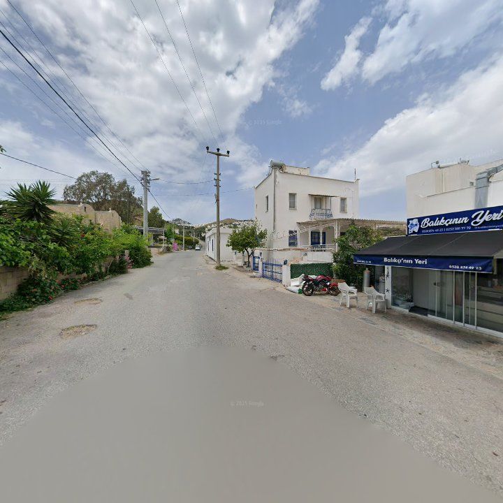 Fotoğraf 10