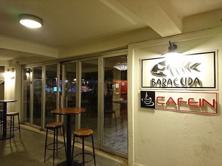 Baracuda Dart Pub