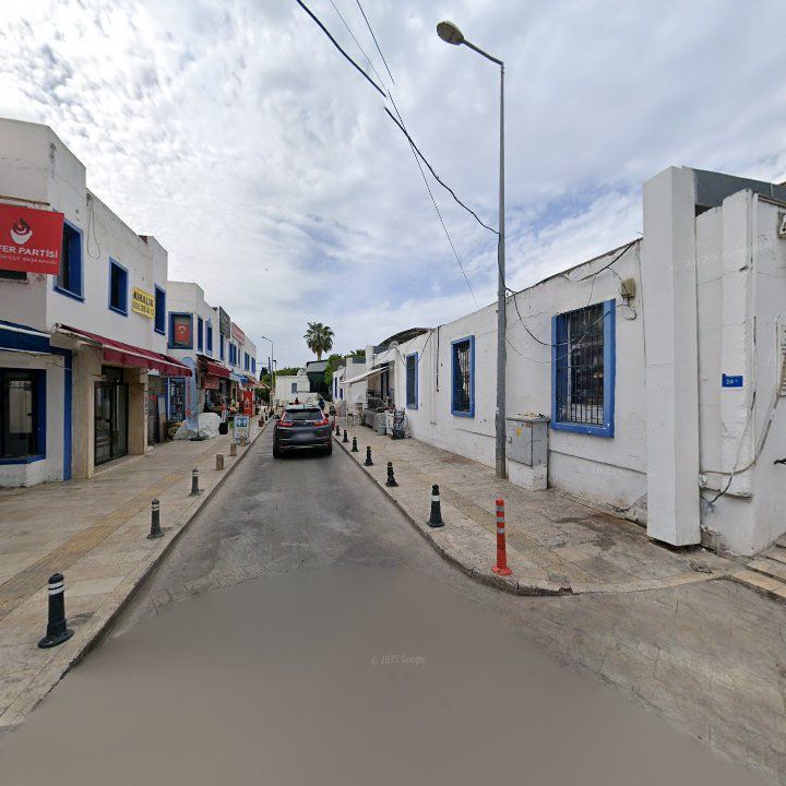 Fotoğraf 10