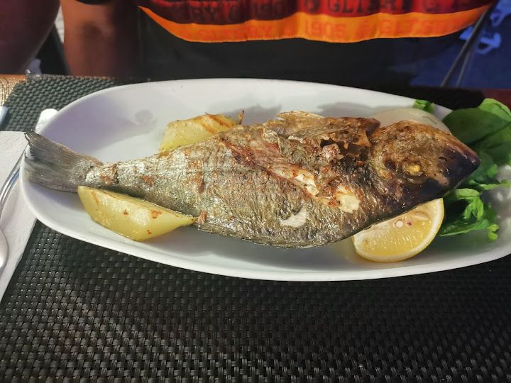 Fotoğraf 33