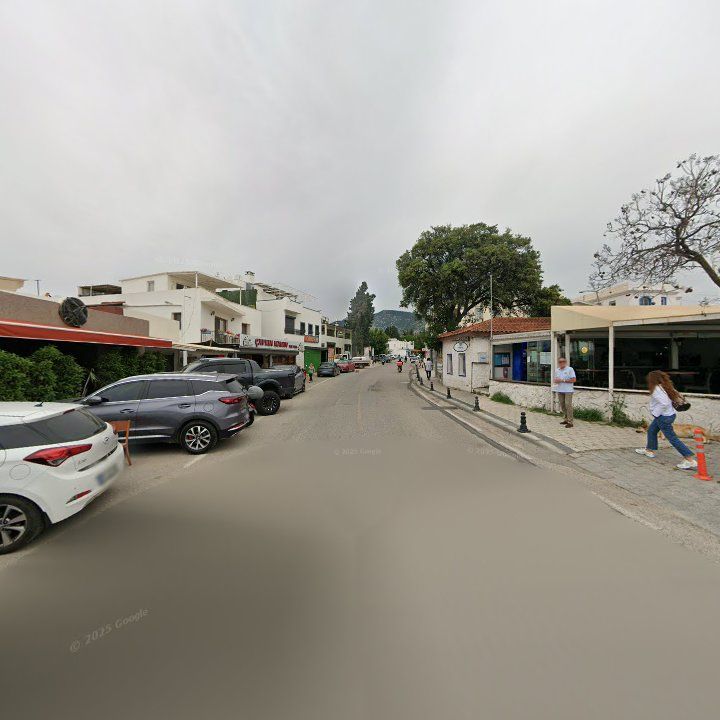 Fotoğraf 10