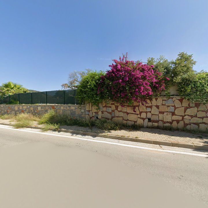 Fotoğraf 9