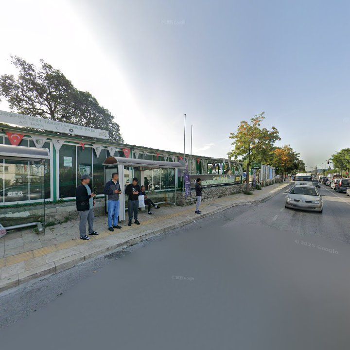 Fotoğraf 8