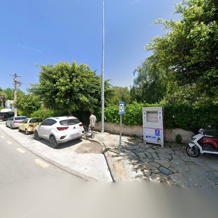 Fotoğraf 10