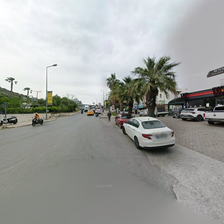 Fotoğraf 8
