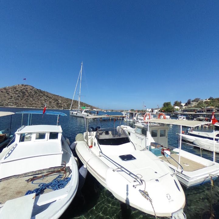 Fotoğraf 7