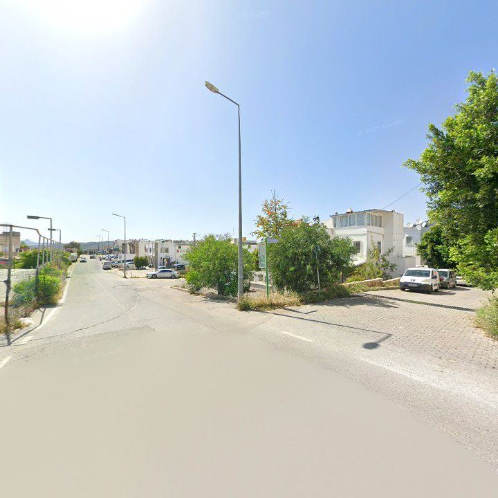 Fotoğraf 10