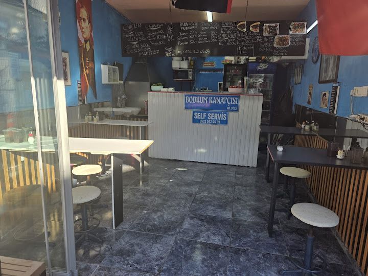 Bodrum kanatçısı