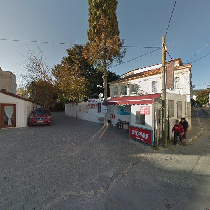 Fotoğraf 7