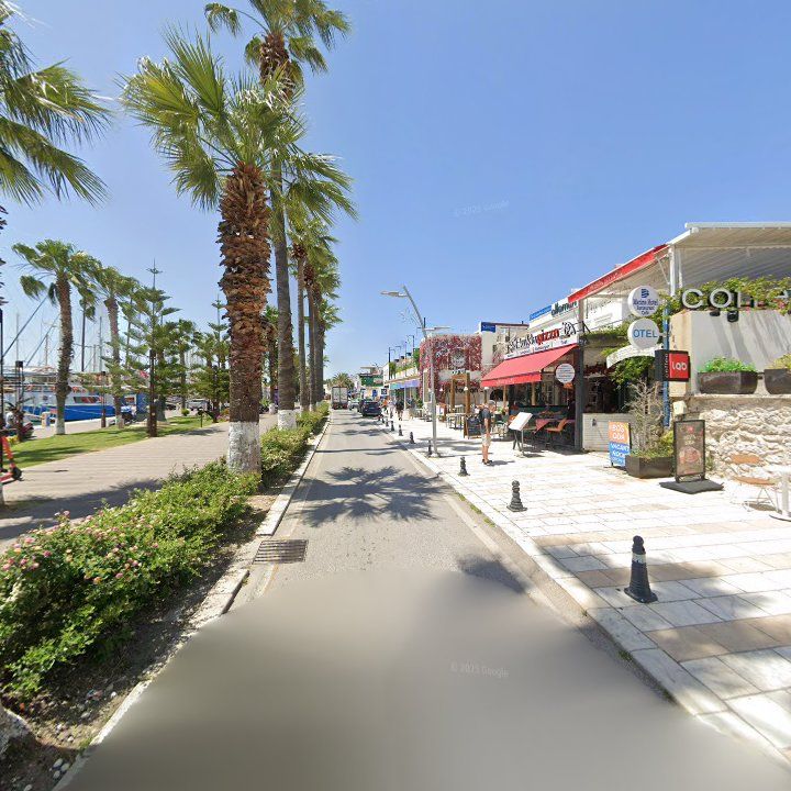 Fotoğraf 10