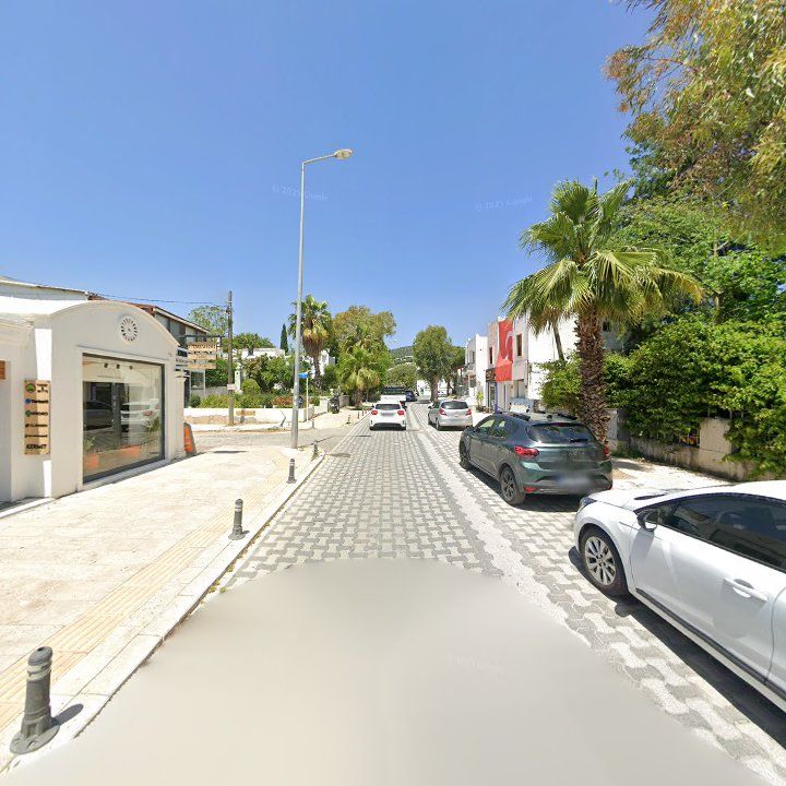 Fotoğraf 12