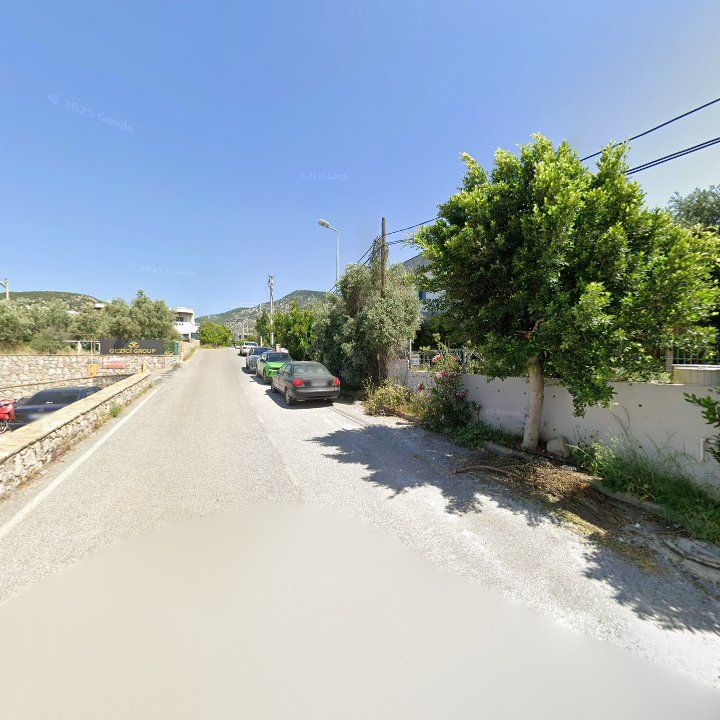Fotoğraf 14
