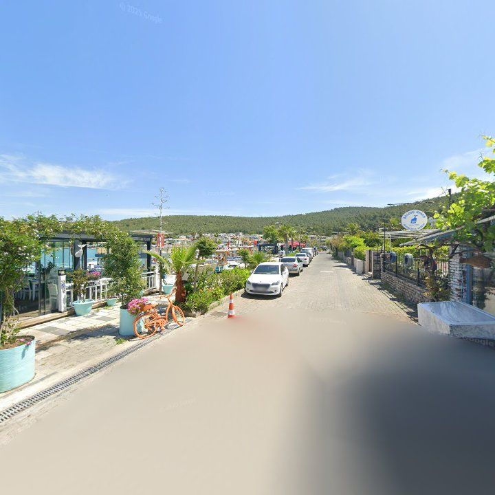 Fotoğraf 10