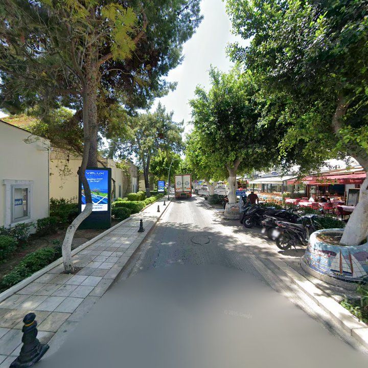 Fotoğraf 10
