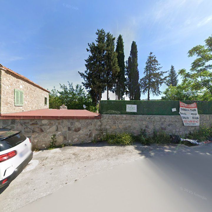 Fotoğraf 13