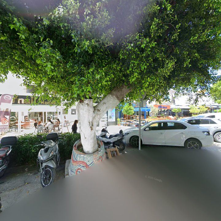 Fotoğraf 11