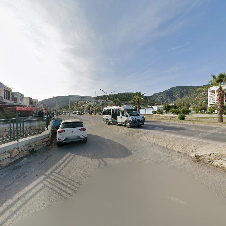 Fotoğraf 12