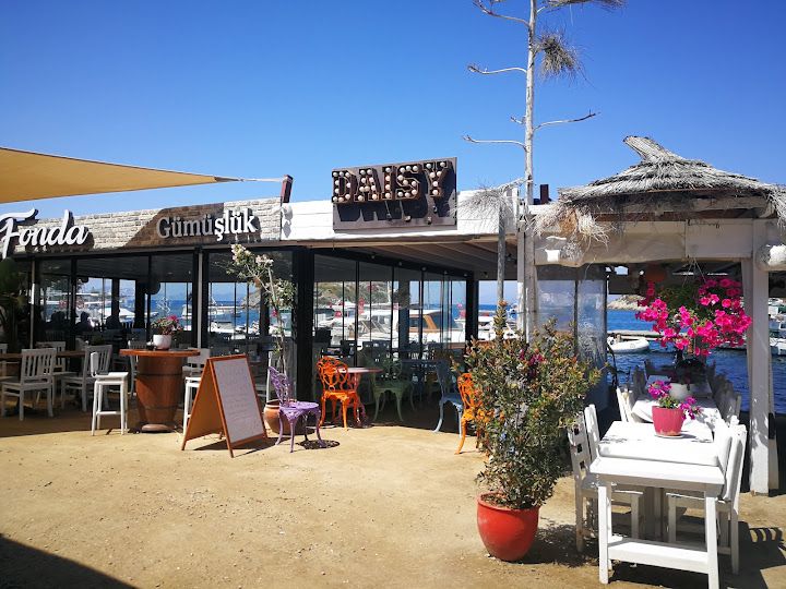 Fotoğraf 31