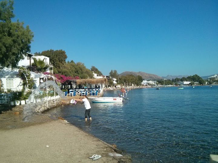 Fotoğraf 51