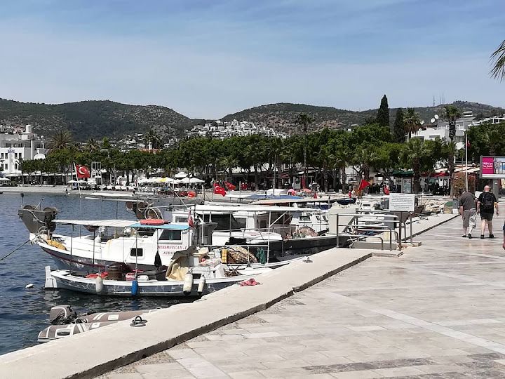 Fotoğraf 19
