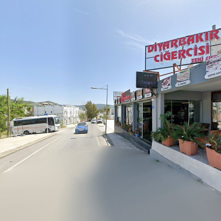 Fotoğraf 12