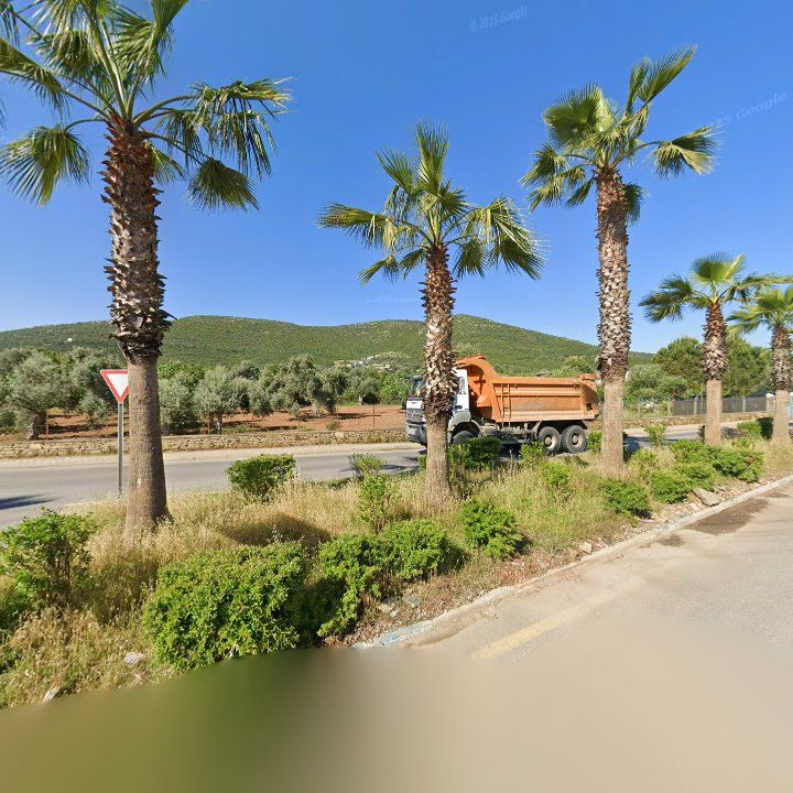 Fotoğraf 7