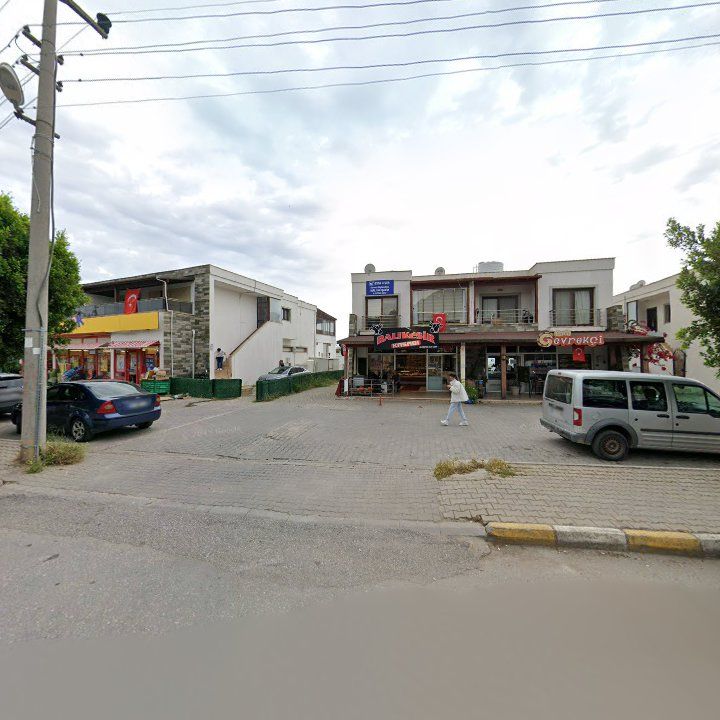 Fotoğraf 12