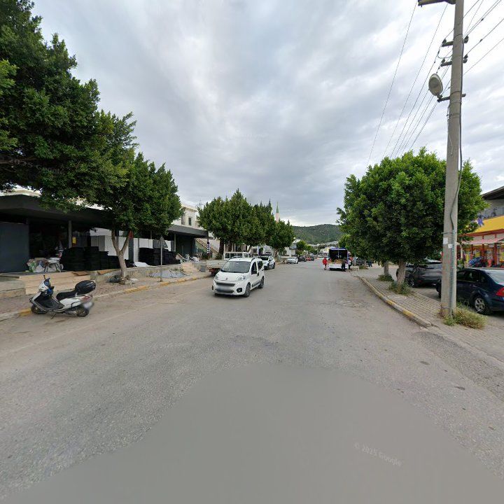 Fotoğraf 11