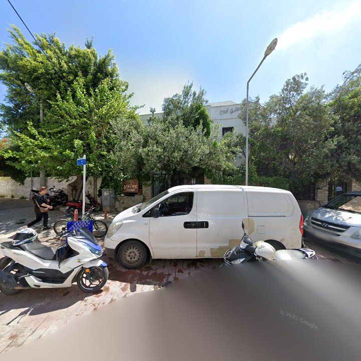 Fotoğraf 12