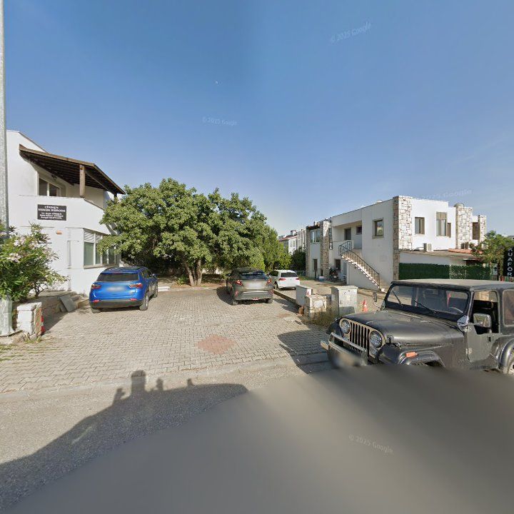 Fotoğraf 12